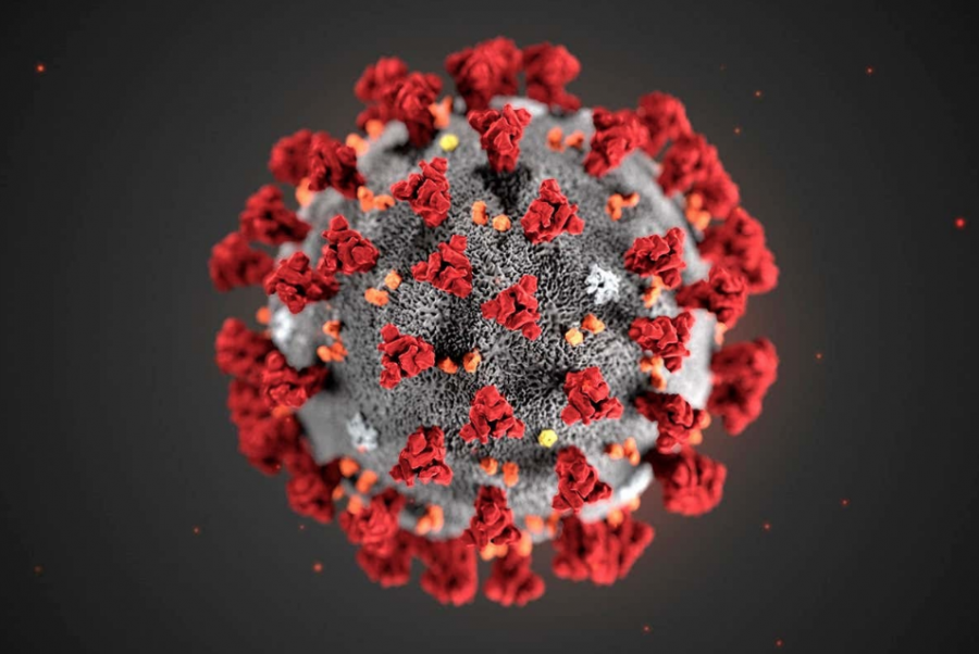 An illustration of a magnified picture of the COVID-19 virus.
