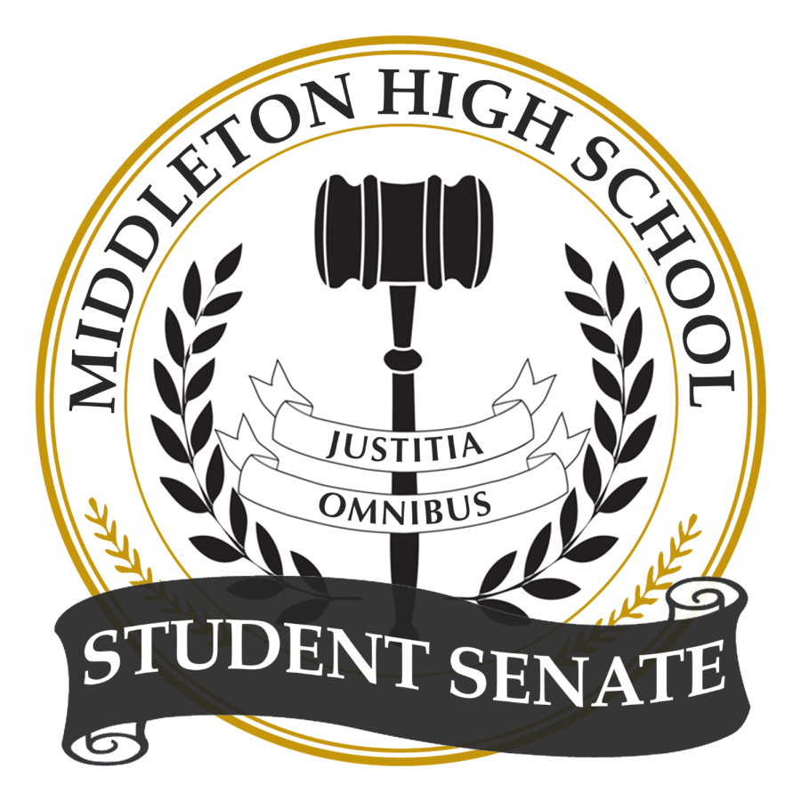 I ran for student senate during the 2021-2022 school year.