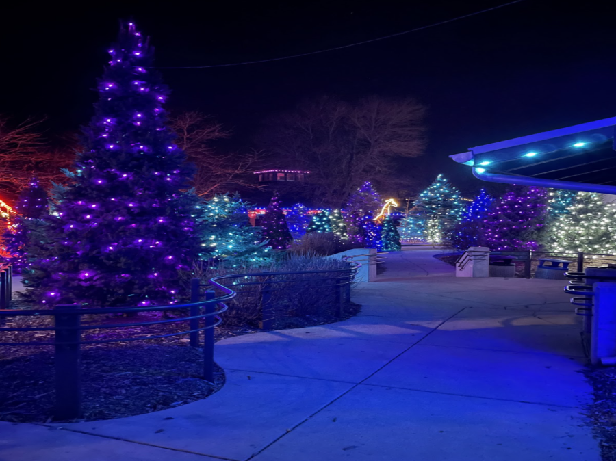 The Henry Vilas Zoo will be illuminated in lights and full of holiday cheer throughout the remainder of December.