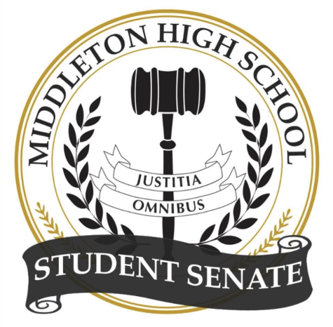 Student Senate Elections: Advocating for Student Voices