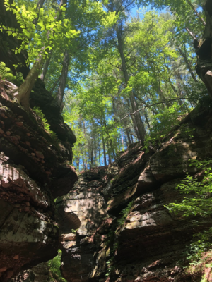 Parfreys Glen, a beautiful hike connected to Devils Lake State Park by the Ice Age Trail, includes towering rock formations, waterfalls, and forest scenery sure to impress.