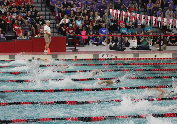 Middleton athletes Jane Garlock (9) and Sulia Miller (11) compete in the 100 freestyle event at the WIAA Division 1 State Championship Meet