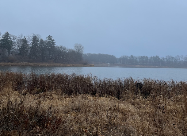 Middelton's local Tiedman Ponds frequently benefits from prescribed burns.