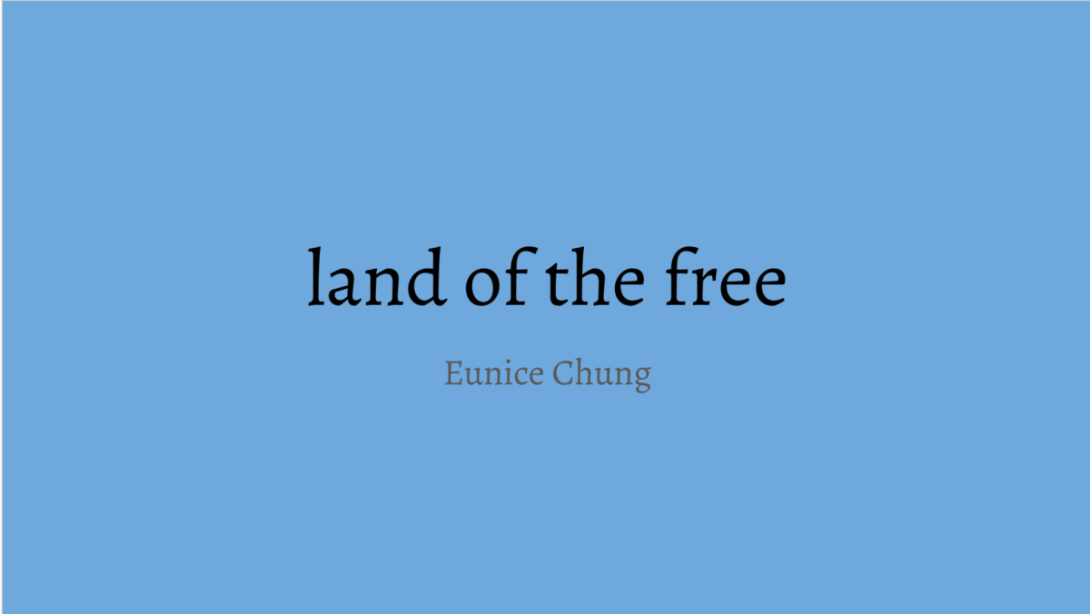 the land of the free