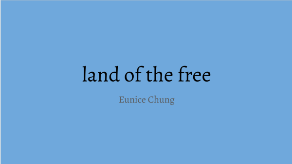 the land of the free