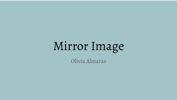 Mirror Image
