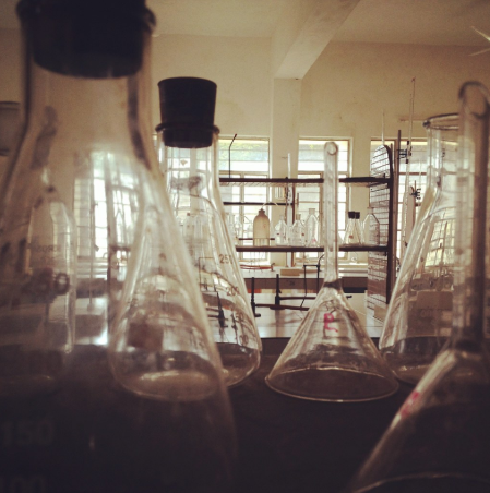 All freshman are required to take an introductory Biology course, which offers an embedded honors option for students looking for more challenging concepts and work.