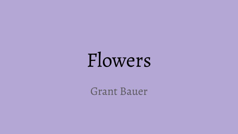 Flowers
